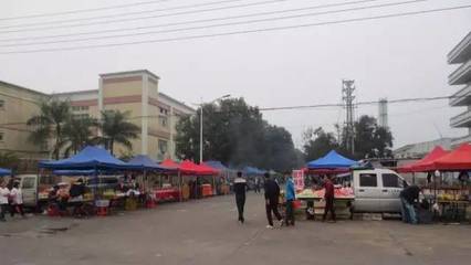 迎創(chuàng)文國考 促工作提升 烈日下謝崗城市綠化管理新篇章